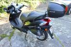 Scooter KYMCO Grand Dink 125, 1 cylindre, Scooter, Kymco, Particulier