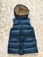 Winterjas / Bodywarmer River Woods - maat 40 - Nieuw artikel, Vêtements | Femmes, Blousons sans Manches, River Woods, Enlèvement ou Envoi