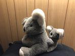 Koala knuffel, Ophalen of Verzenden, Zo goed als nieuw, Overige typen