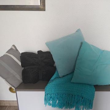 Plaids en kussens beschikbaar voor biedingen
