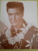 Foto, s elvis presley, Verzamelen, Foto's en Prenten, Ophalen of Verzenden, Zo goed als nieuw, Foto