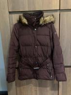 Warme winterjas Esprit Maat M kleur aubergine, Kleding | Dames, Jassen | Winter, Gedragen, Esprit, Maat 38/40 (M), Ophalen