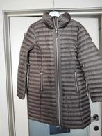 Jasje maat L  Esprit nieuw ritjes goudkleurig, Kleding | Dames, Jasjes, Kostuums en Pakken, Ophalen, Beige, Maat 42/44 (L), Nieuw