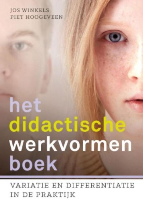 het didactisch werkvormenboek- variatie en differentiatie, Boeken, Schoolboeken, Zo goed als nieuw, Overige vakken, Overige niveaus