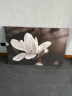 Canvas, Ophalen, Gebruikt