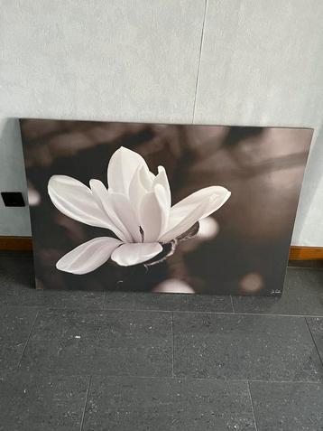 Canvas, Enlèvement, Utilisé