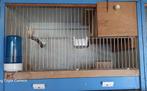Te Koop Broedkooien Agapornies, Dieren en Toebehoren, Vogels | Hokken en Kooien, Ophalen, Gebruikt, Hout, Broedkooi of Kweekkooi