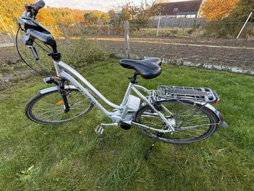 Flyer De Luxe 36 volt Met Rohloff speed hub 500/14 beschikbaar voor biedingen