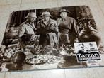 3 Cartons publicitaires Cinéma TARZAN 1942 Tarzan Nueva York, Affiche, Utilisé, Enlèvement ou Envoi, Film