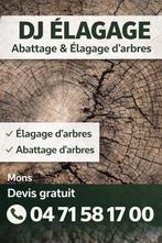 Élagage abattage, Tuin en Terras, Planten | Bomen, In pot, Winter, Halfschaduw, Minder dan 100 cm