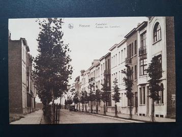 Postkaart Merksem Merxem Camelialei beschikbaar voor biedingen