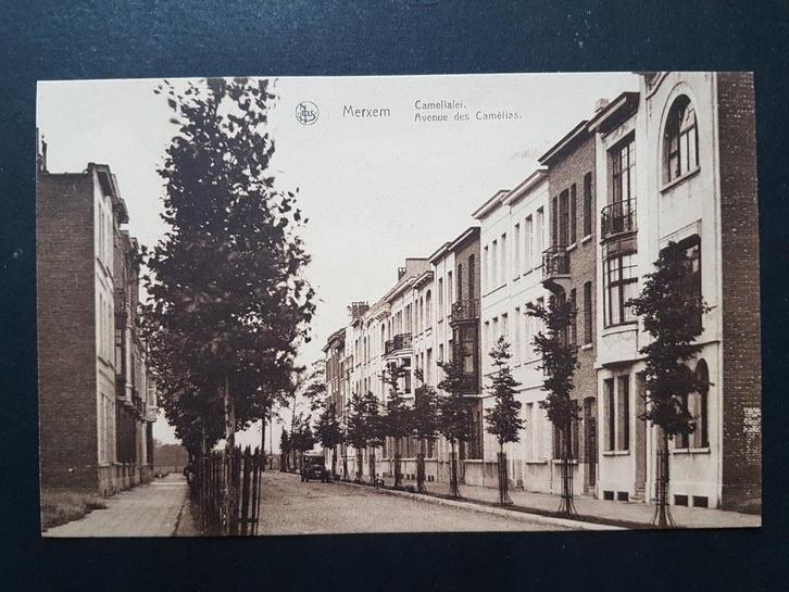 Postkaart Merksem Merxem Camelialei, Verzamelen, Postkaarten | België, Ongelopen, Antwerpen, 1920 tot 1940, Ophalen of Verzenden