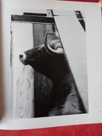 Lucien Clergue Het kwartiertje van de stier, Boeken, Kunst en Cultuur | Fotografie en Design, Ophalen of Verzenden, Zo goed als nieuw