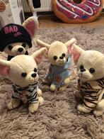 4 chihuahua’s voor de prijs van 10€, Kinderen en Baby's, Speelgoed | Knuffels en Pluche, Ophalen, Zo goed als nieuw