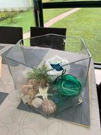 Aquarium octogonal pour poisson rouge, Animaux & Accessoires, Poissons | Aquariums & Accessoires, Enlèvement, Comme neuf