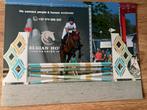 D pony, Dieren en Toebehoren, Paarden