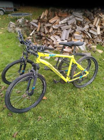 2 x MTB Rockrider ST 100 opknappers te koop beschikbaar voor biedingen