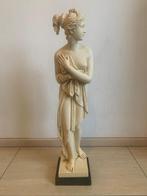 Venus beeld Amilcare Santini (1910-1975), Enlèvement