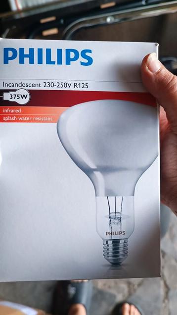 philips lamp 4 stuks beschikbaar voor biedingen