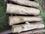 boomstam okkernoot, Tuin en Terras, Planten | Bomen, Ophalen, Overige soorten, 100 tot 250 cm