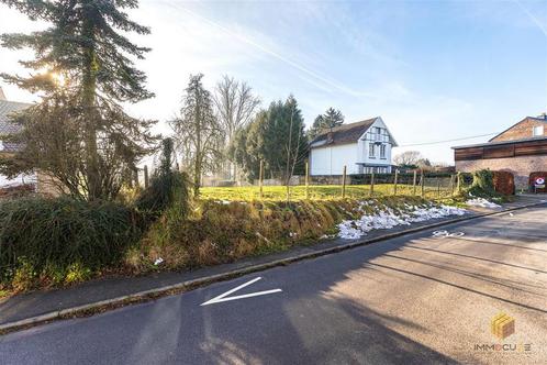 Terrain à vendre à Oleye, Immo, Gronden en Bouwgronden, 1500 m² of meer