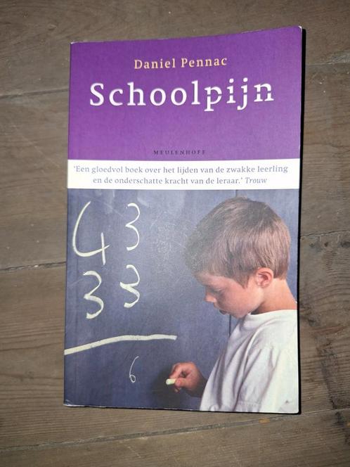 Daniel Pennac - Schoolpijn, Boeken, Literatuur, Zo goed als nieuw, Ophalen of Verzenden