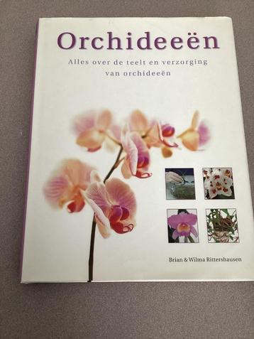 Boek orchideeën, Enlèvement