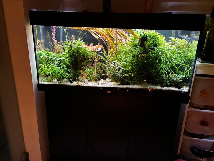 Aquarium Rio 180, Dieren en Toebehoren, Vissen | Aquaria en Toebehoren, Zo goed als nieuw, Ophalen