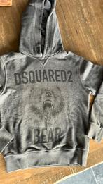 Prachtige grijze hoodie van Dsquared2 maat 12, Trui of Vest, Dsquared2, Ophalen of Verzenden, Zo goed als nieuw