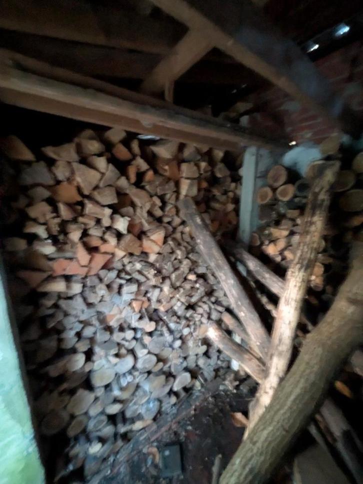 BRANDHOUT, Jardin & Terrasse, Bois de chauffage, Enlèvement