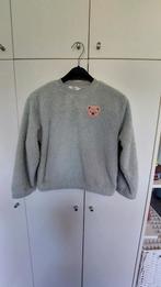 Meisjestrui, Kinderen en Baby's, Kinderkleding | Maat 134, Ophalen of Verzenden, Gebruikt