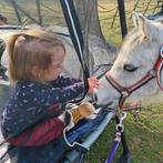 Bijrijder gezocht!, Dieren en Toebehoren, Paarden