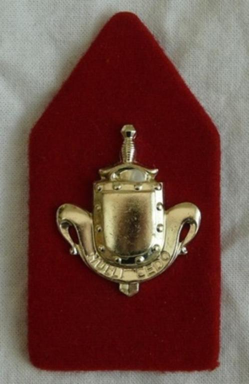 Kraagspiegel /Embleem DT63 Wapen der Infanterie algemeen.(1), Verzamelen, Militaria | Algemeen, Landmacht, Embleem of Badge, Ophalen of Verzenden