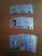 Panini stickers football 2007, Verzamelen, Ophalen of Verzenden, Zo goed als nieuw