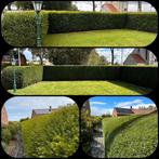 Clôture jardin, Auto-onderdelen, Ophalen of Verzenden