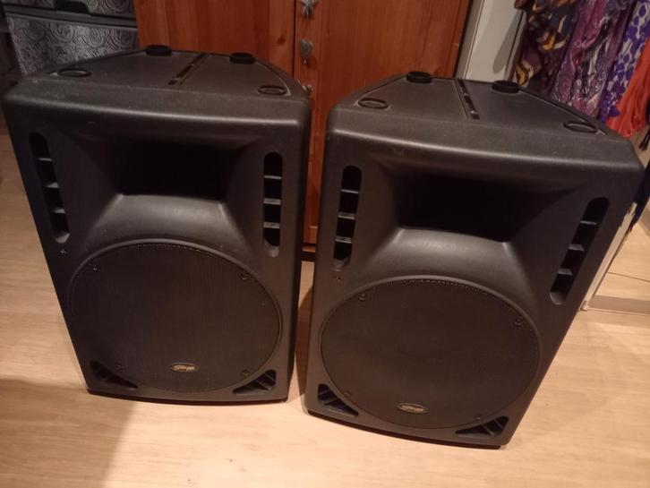 2x Stagg SMS 15 P active speaker 15'', Audio, Tv en Foto, Luidsprekerboxen, Zo goed als nieuw, Ophalen