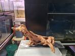 Aquarium hout garnituur op leisteenplaat, Dieren en Toebehoren, Ophalen