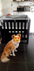 Baby park, Ophalen, In hoogte verstelbaar