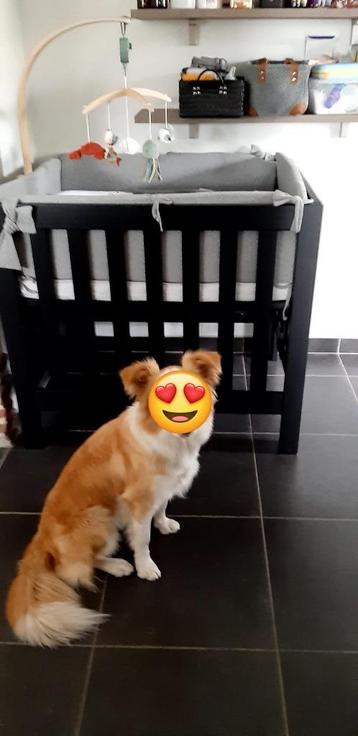 Baby park beschikbaar voor biedingen