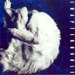 1761 - CHAPTERHOUSE - WHIRLPOOL - NIEUW, Cd's en Dvd's, Verzenden, Nieuw in verpakking, Poprock