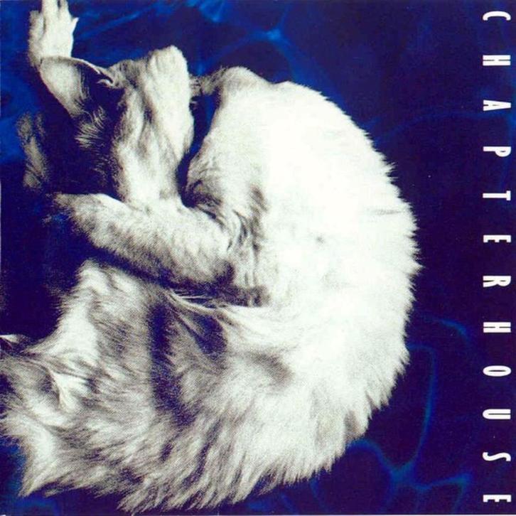 1761 - CHAPTERHOUSE - WHIRLPOOL - NIEUW, Cd's en Dvd's, Cd's | Rock, Nieuw in verpakking, Poprock, Verzenden