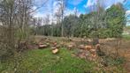 Brandhout (den en spar), Blokken, Ophalen, Overige houtsoorten