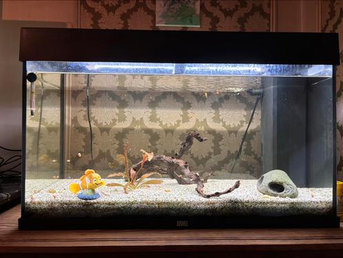 Aquarium Juwel Rio 125 (occasion), kit complet avec access, Dieren en Toebehoren, Vissen | Aquaria en Toebehoren, Gebruikt, Gevuld zoetwateraquarium