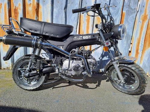 Zhenhua Dax Projects | Meerdere varianten | A of B-Klasse, Fietsen en Brommers, Brommers | Honda, Nieuw, Overige modellen, Ophalen