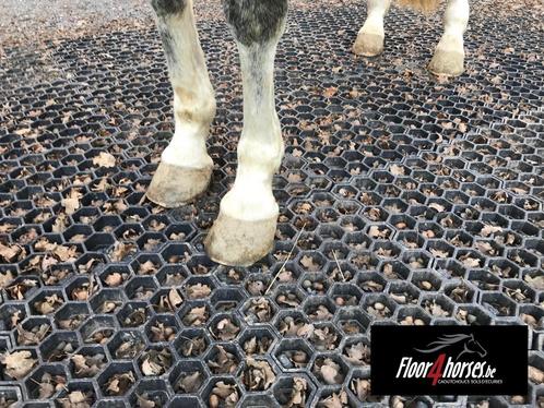Dalles anti boue de paddock, Dieren en Toebehoren, Stalling en Weidegang, 4 paarden of pony's of meer