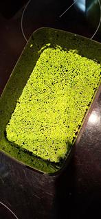 Gratis eendenkroos, Dieren en Toebehoren, Ophalen, Nieuw, Plant(en), Steen of Hout