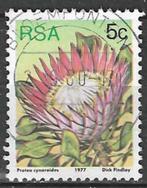 Zuid-Afrika 1977 - Yvert 420 - De Koningsprotea (ST), Timbres & Monnaies, Timbres | Afrique, Affranchi, Envoi, Afrique du Sud