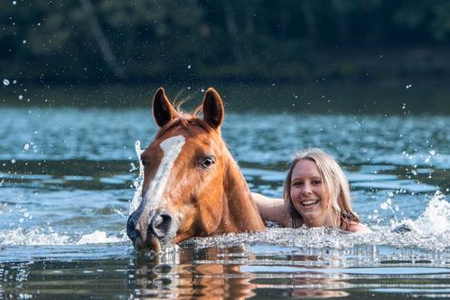 Halve stal gezocht te Stabroek, Diensten en Vakmensen, Dieren | Paarden | Verzorging, Oppas en Dressuur