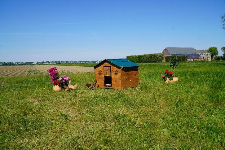 Trespa Kippenhok / Chalet 2XL - Cucciolotta, Dieren en Toebehoren, Pluimvee | Toebehoren, Nieuw, Kippenhok of Kippenren, Ophalen of Verzenden