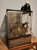 Terrarium EXO TERRA 45x45x60cm, Dieren en Toebehoren, Reptielen en Amfibieën | Toebehoren, Ophalen, Gebruikt
